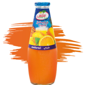 Tropical Meyve Suyu 250Ml